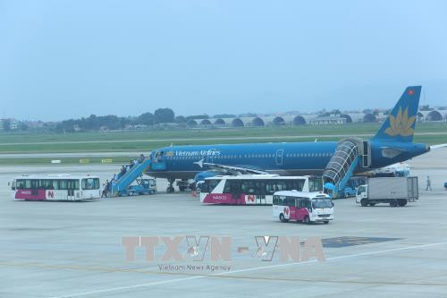Aviation market records stable growth ảnh 1