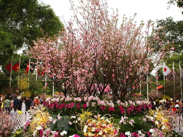 “The Start of Japan” programme to be broadcast on VTV ảnh 1 “The Start of Japan” programme to be broadcast on VTV ảnh 1