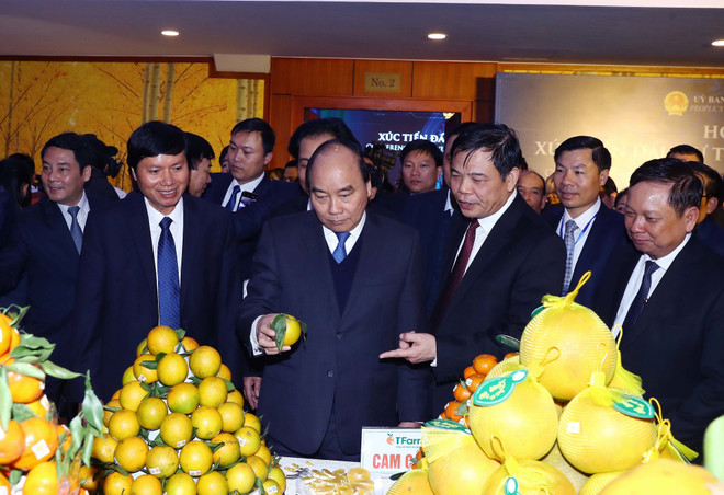 Hoa Binh inks deals worth billions of USD at investment promotion conference ảnh 1