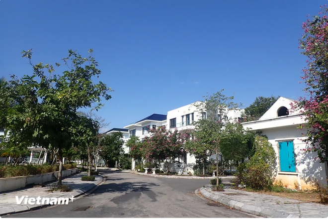 Amended Land Law will attract capital from Overseas Vietnamese ảnh 1