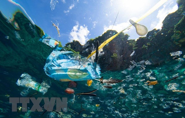 ASEAN, RoK agree to strengthen cooperation on environment, combating climate change ảnh 1