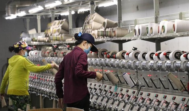 French, Italian firms applaud Government’s support measures ảnh 1