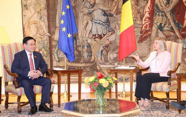 NA Chairman holds talks with leader of Belgium's Chamber of Representatives ảnh 1