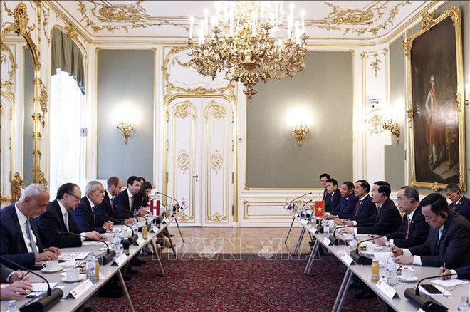 Vietnamese, Austrian Presidents hold talks ảnh 1
