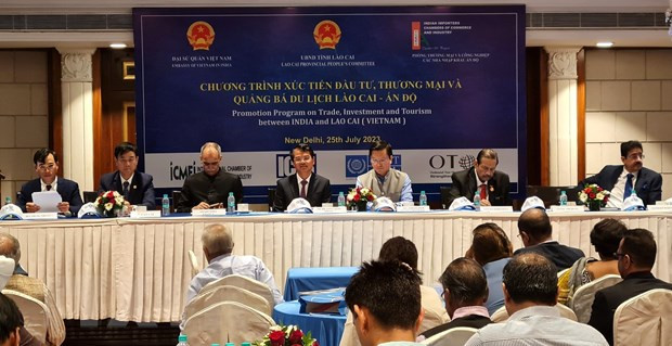 Lao Cai ready to welcome Indian investors: provincial official ảnh 1