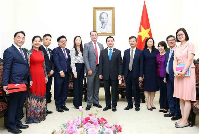 Vietnam, Japan foster cooperation in renewable, clean energy projects ảnh 1