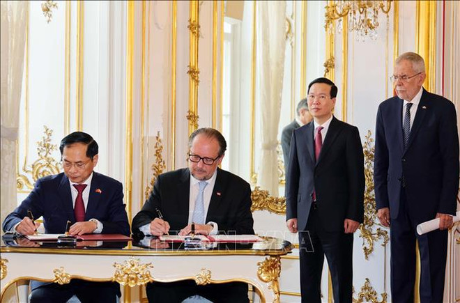 Vietnamese, Austrian Presidents hold talks ảnh 2
