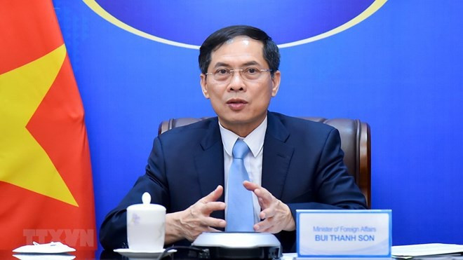 President’s visits to Austria, Italy, Vatican successful: Foreign Minister ảnh 2