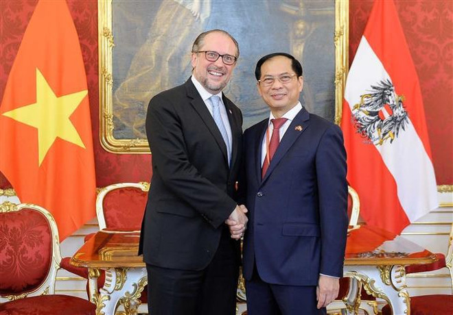 Foreign minister meets Austrian counterpart ảnh 1