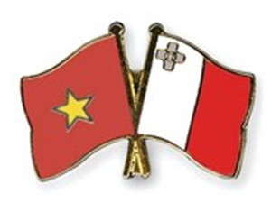 Vietnam, Malta to deepen multifaceted cooperation ảnh 1