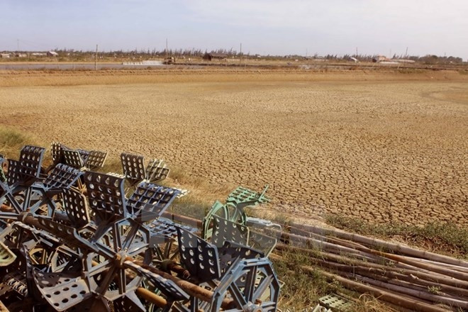 Dams upriver exacerbate drought in Mekong Delta ảnh 1
