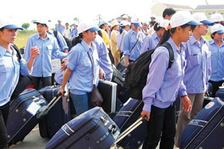 Seminar discusses regulations on gender equality for guest workers ảnh 1