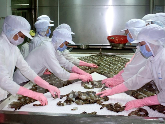 New-style cooperative models needed to improve farmers’ income ảnh 1