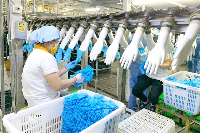 Export profits soar during COVID-19 ảnh 1