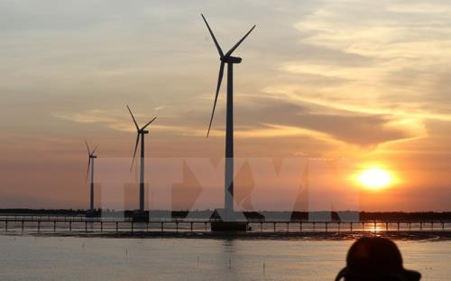 Massive investment in wind power plants could overload grid: experts ảnh 1 Massive investment in wind power plants could overload grid: experts ảnh 1