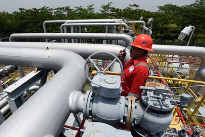 Indonesia starts work on 255km industrial gas pipeline ảnh 1 Indonesia starts work on 255km industrial gas pipeline ảnh 1