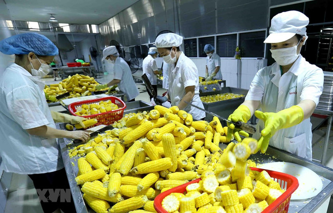 Vietnam aims to become global agriculture powerhouse ảnh 1 Vietnam aims to become global agriculture powerhouse ảnh 1