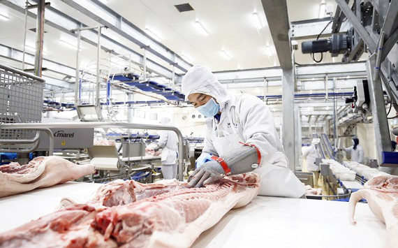 Agro processing gets tidal wave of investment ảnh 1 Agro processing gets tidal wave of investment ảnh 1