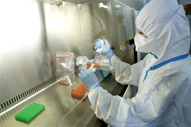 Japan helps Vietnam with rapid nCoV identification ảnh 1 Japan helps Vietnam with rapid nCoV identification ảnh 1