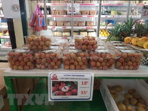 More Vietnamese lychees to be flown to France ảnh 1 More Vietnamese lychees to be flown to France ảnh 1