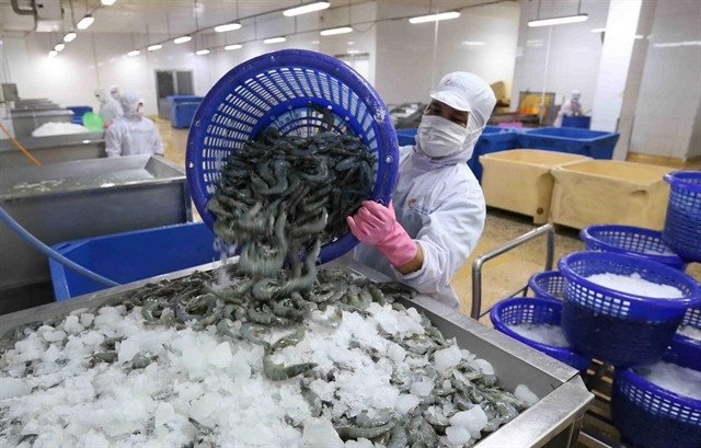 Shrimp exports swell despite COVID-19 pandemic ảnh 1