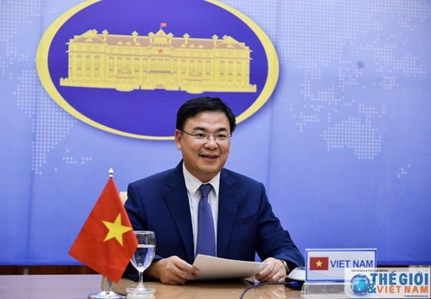 Overseas Vietnamese present donations to COVID-19 fight ảnh 1