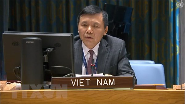 Vietnam calls on Mali to increase national conciliation, implement transition roadmap ảnh 1 Vietnam calls on Mali to increase national conciliation, implement transition roadmap ảnh 1