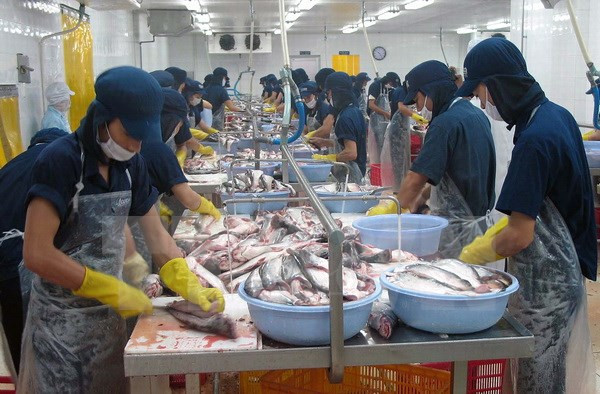 Vietnam appreciates US Senate’s vote to end catfish inspection ảnh 1