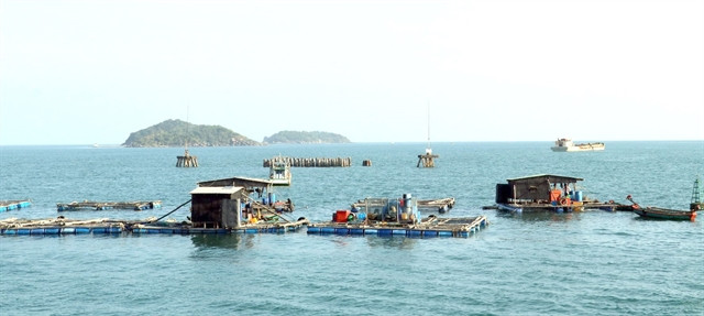 Vietnam seeks sustainable development of fisheries ảnh 1 Vietnam seeks sustainable development of fisheries ảnh 1