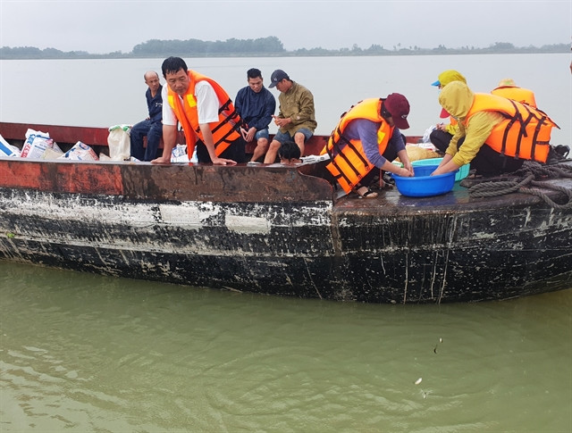 Tay Ninh releases fish fry into reservoir to regenerate fishery resources ảnh 1