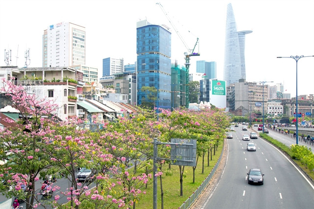 HCM City speeds up sub-projects for smart city development ảnh 1