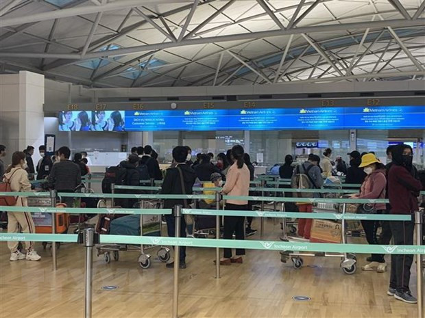 More than 350 Vietnamese citizens return home from Canada, RoK ảnh 1 More than 350 Vietnamese citizens return home from Canada, RoK ảnh 1