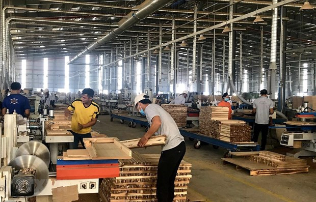 Agro-forestry-fisheries posts 7.9 bln USD trade surplus ảnh 1