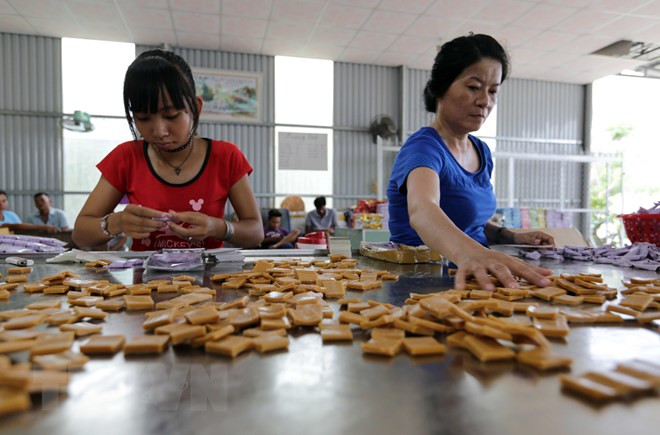 Ambassador suggests SMEs partnership a focus in VN-Russia ties ảnh 1