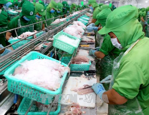 US antidumping duties on Vietnam’s frozen fish fillets unfair: Ministry ảnh 1