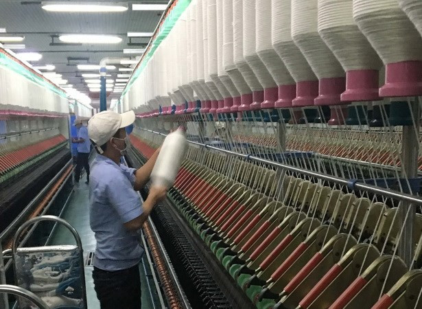 Firms in Mekong Delta perform well in 2017 ảnh 1