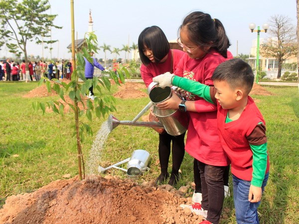 More Japanese cherry trees planted in Hanoi ảnh 1 More Japanese cherry trees planted in Hanoi ảnh 1