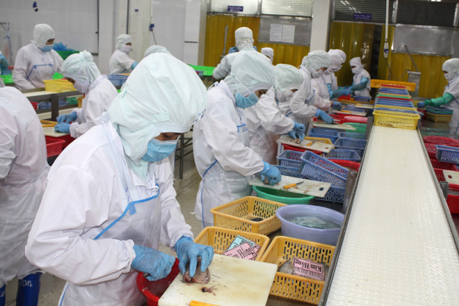 Ba Ria-Vung Tau races to combat IUU fishing ảnh 1 Ba Ria-Vung Tau races to combat IUU fishing ảnh 1