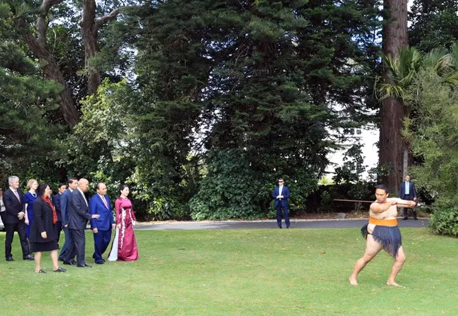 Welcome ceremony, cannon salute for PM Nguyen Xuan Phuc in New Zealand ảnh 2