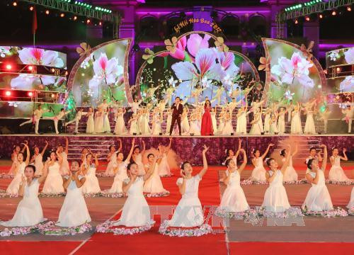 Ban Flower Festival 2018 to open in Dien Bien ảnh 1