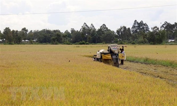 Kien Giang reports rise in export turnover in nine months ảnh 1