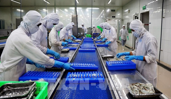 Vietnam’s aquaculture top position on world map ảnh 2