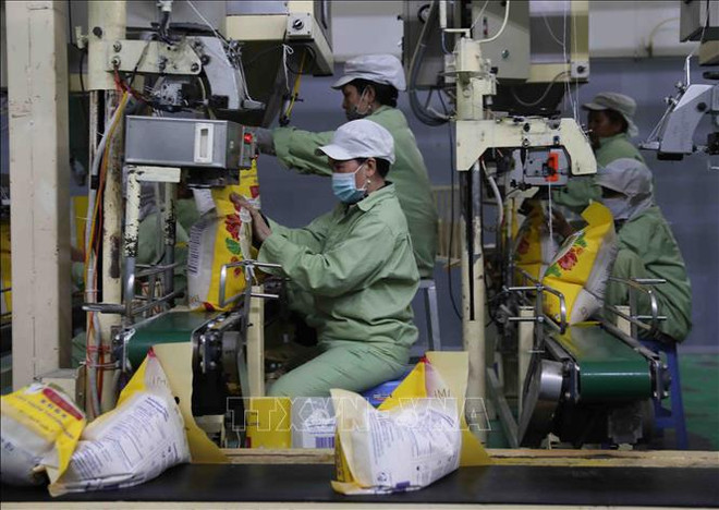 Vietnam, Bangladesh enjoy strong ties over 50 years ảnh 3 Vietnam, Bangladesh enjoy strong ties over 50 years ảnh 3