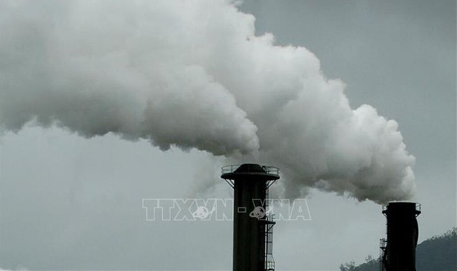 Vietnam makes efforts to develop domestic carbon market ảnh 1 Vietnam makes efforts to develop domestic carbon market ảnh 1