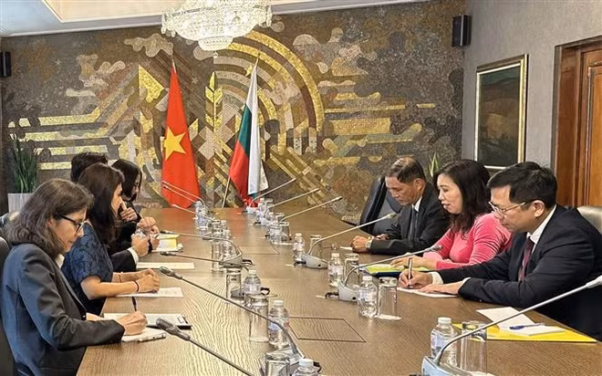 Vietnamese, Bulgarian foreign ministries to hold political consultation next year ảnh 1