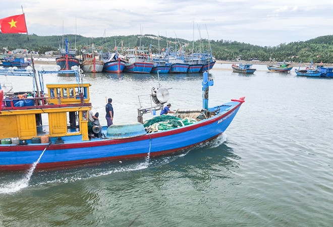 Quang Ngai ramps up efforts against IUU fishing ảnh 1 Quang Ngai ramps up efforts against IUU fishing ảnh 1