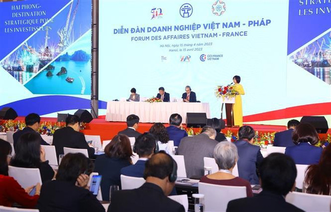 Vietnam-France ties grow strong: Ambassador ảnh 2