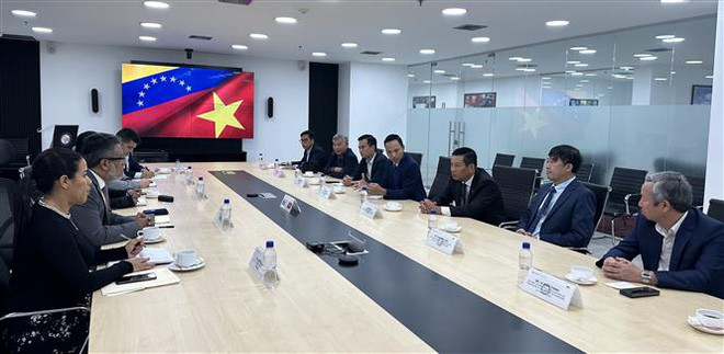 Vietnamese firm eyes to make deeper inroads into Venezuela ảnh 1 Vietnamese firm eyes to make deeper inroads into Venezuela ảnh 1