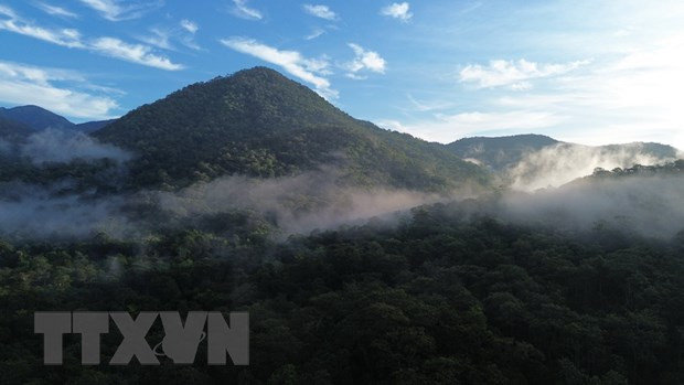 Eco-tourism development linked with biodiversity conservation under discussion ảnh 1 Eco-tourism development linked with biodiversity conservation under discussion ảnh 1