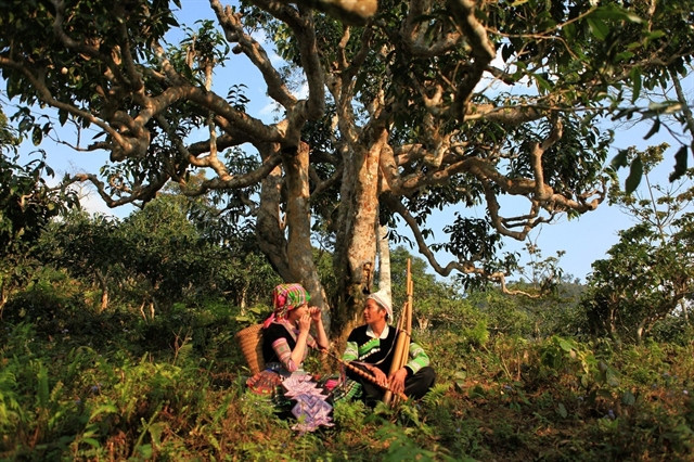 Efforts to promote products made by ethnic minorities ảnh 1